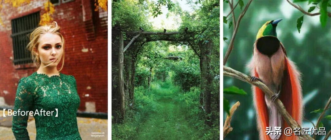 爱是一道光！治愈系祖母绿，宝石盛开的花园，绝美惊艳400年