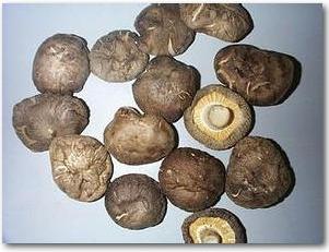 干香菇怎么泡发,干香菇煮多久熟