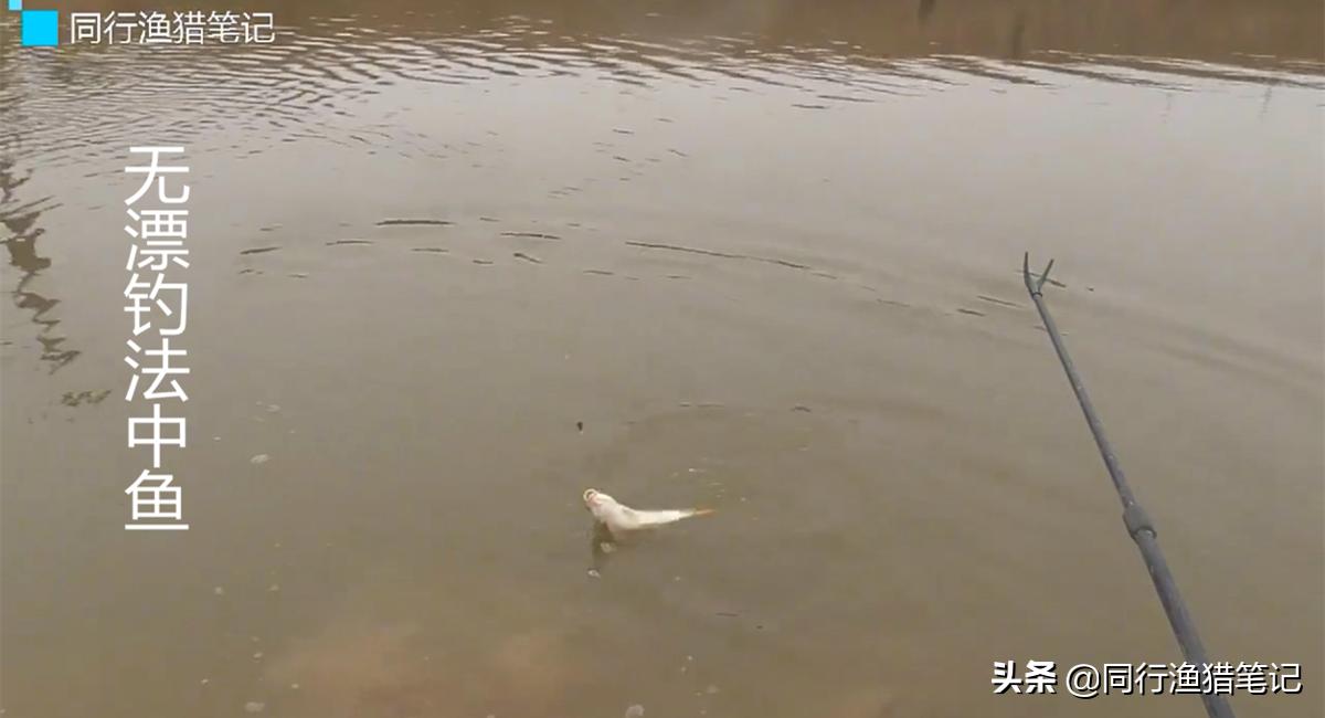 无漂线组,无漂钓鱼线组的制作