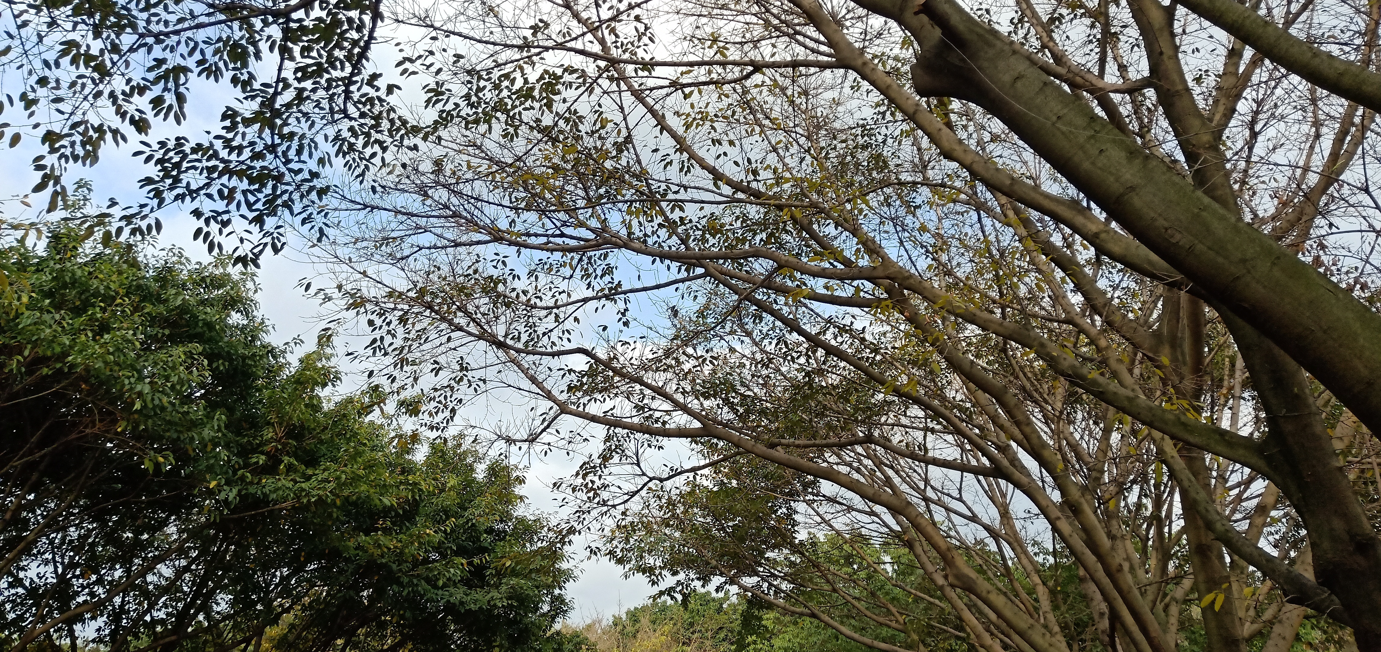 四川绵阳五一广场，一个让人流连忘返的地方