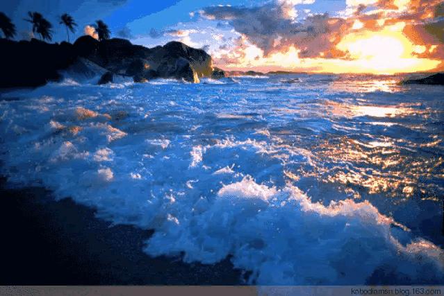 大自然山水花鸟大全,回归自然山水花鸟