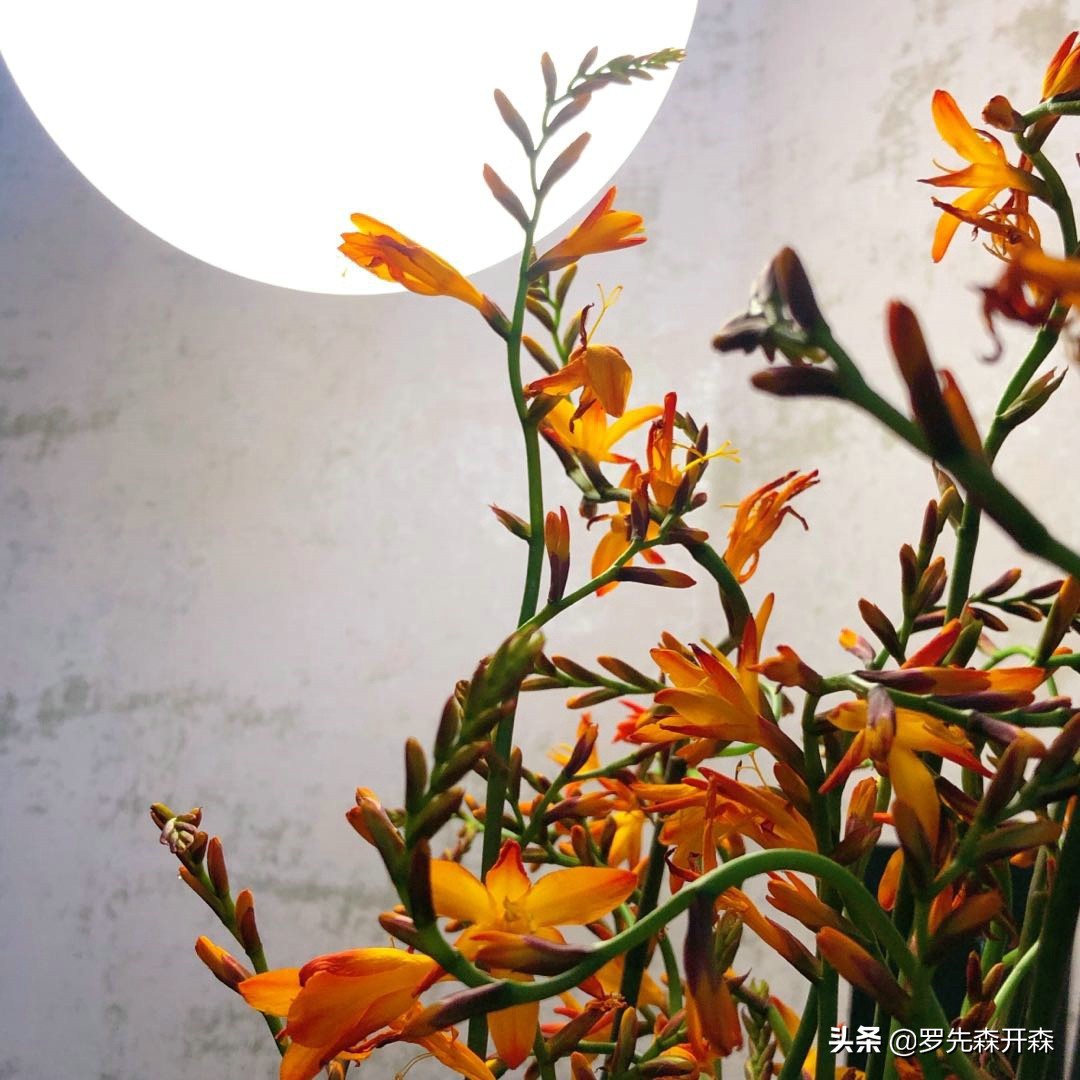 济南奥龙观邸户型图,济南奥龙观邸五层别墅