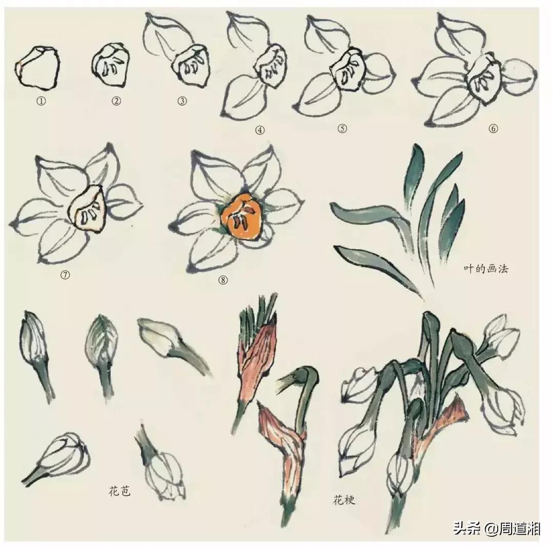国画花卉大全教程视频,花卉小品国画图片大全