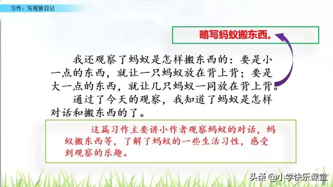四年级语文第三单元观察日记作文,四年级观察日记400字优秀作文植物