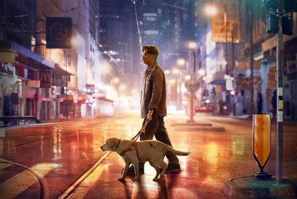 拯救不开心之类电影推荐,十部让人内心平静的电影