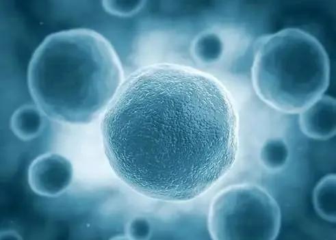 警惕脊髓型颈椎病,颈部不舒服警惕四种病