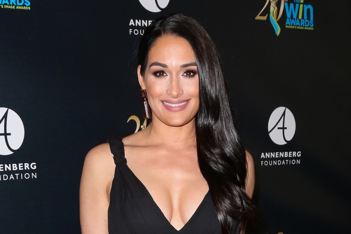 wwe传奇女星桑尼,wwe传奇女星