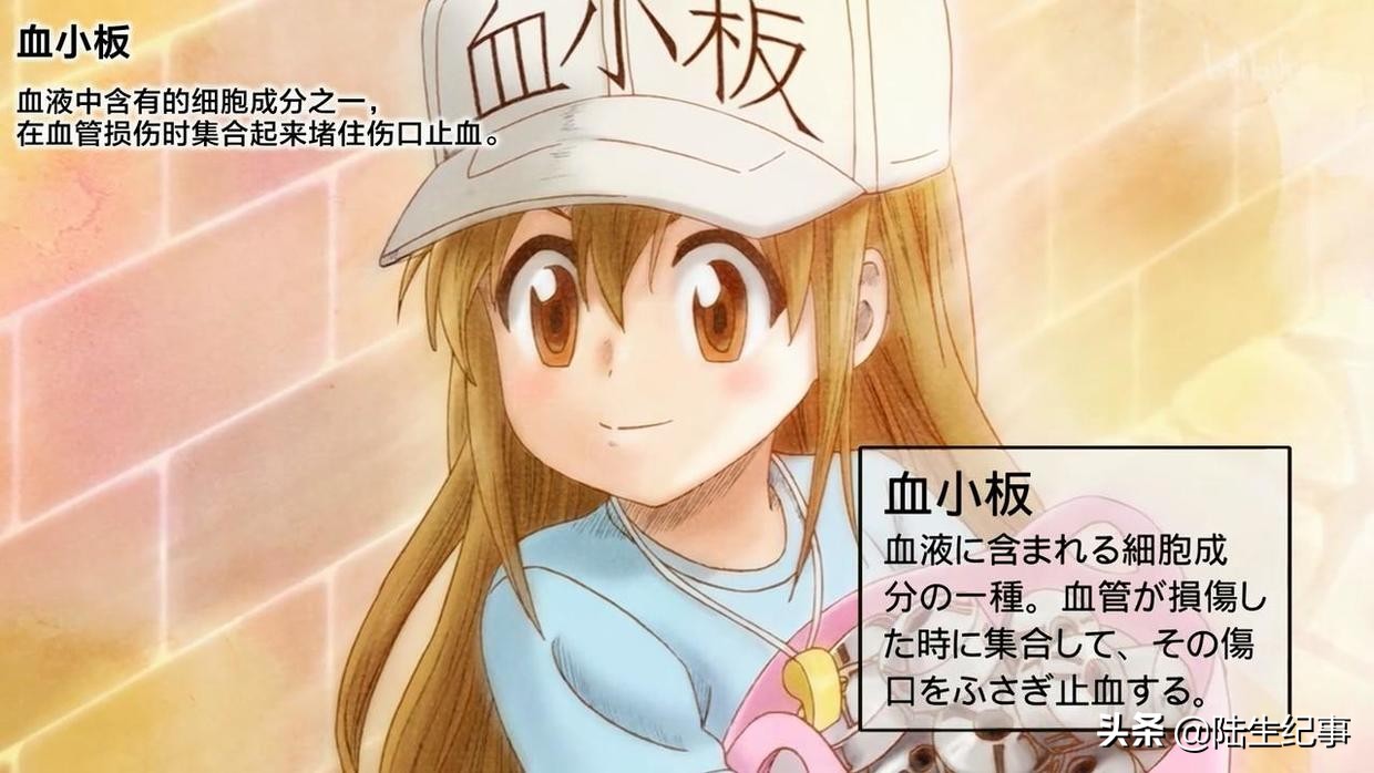 工作细胞日记,工作细胞笔记第1集