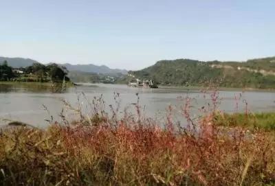 木河洞街,木洞河街