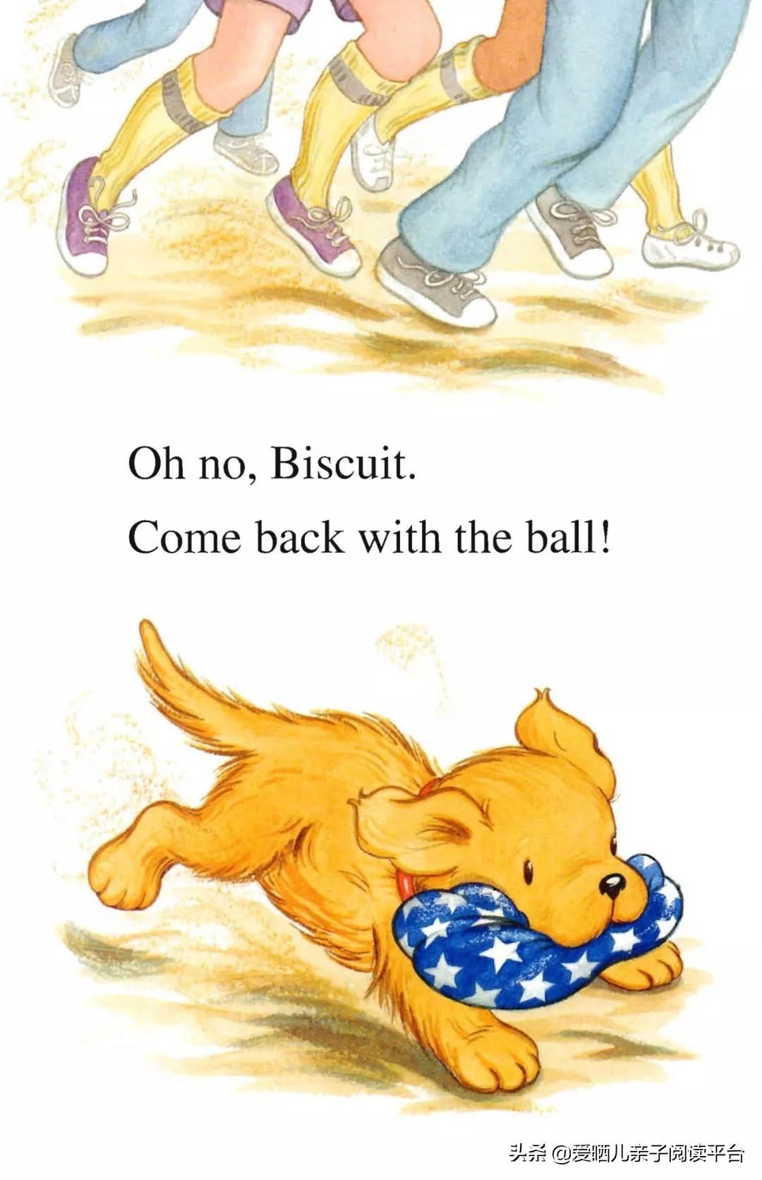 英文有声绘本《BiscuitPlaysBall》