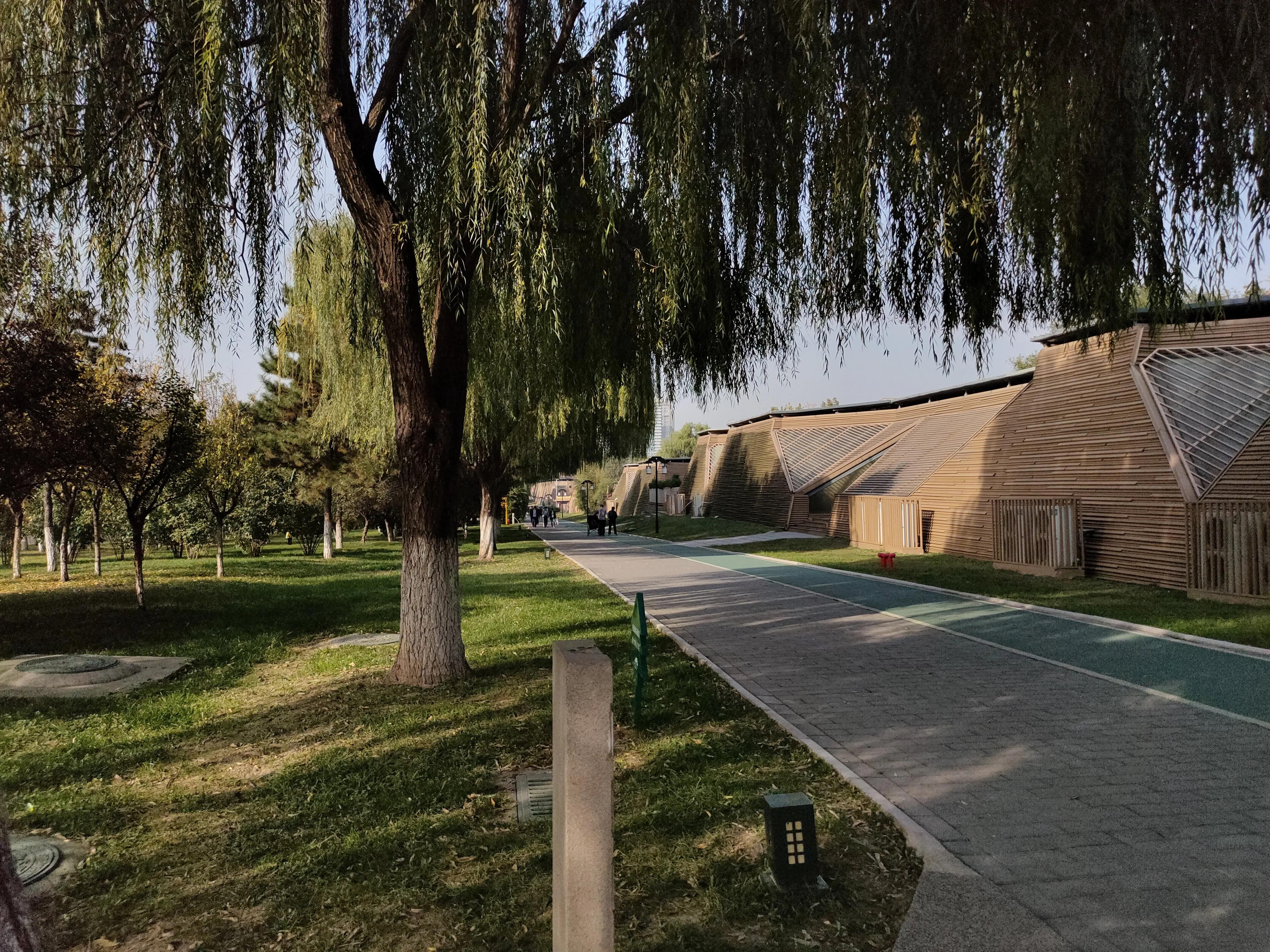 探寻西安大明宫国家遗址公园攻略,西安的大明宫遗址公园