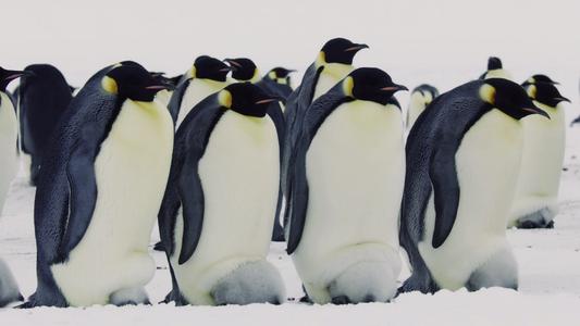 抢走人家的小孩,抢走别人的宝贝女儿