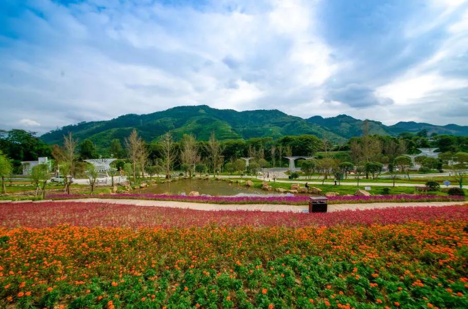 跟着局长游，一起探秘神秘的宜宾珙县