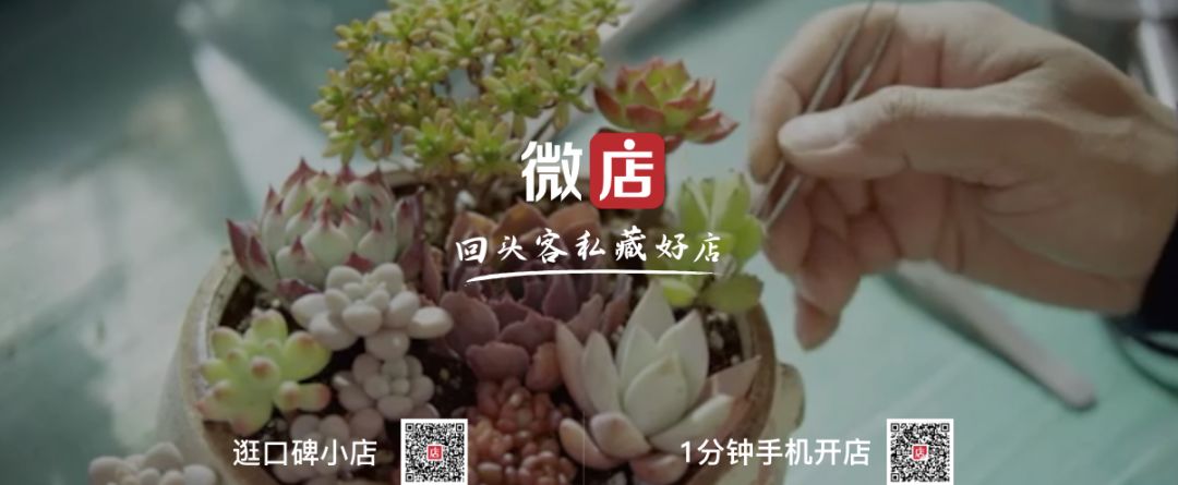 2018社交电商排名top100,中国社交电商十大风云人物