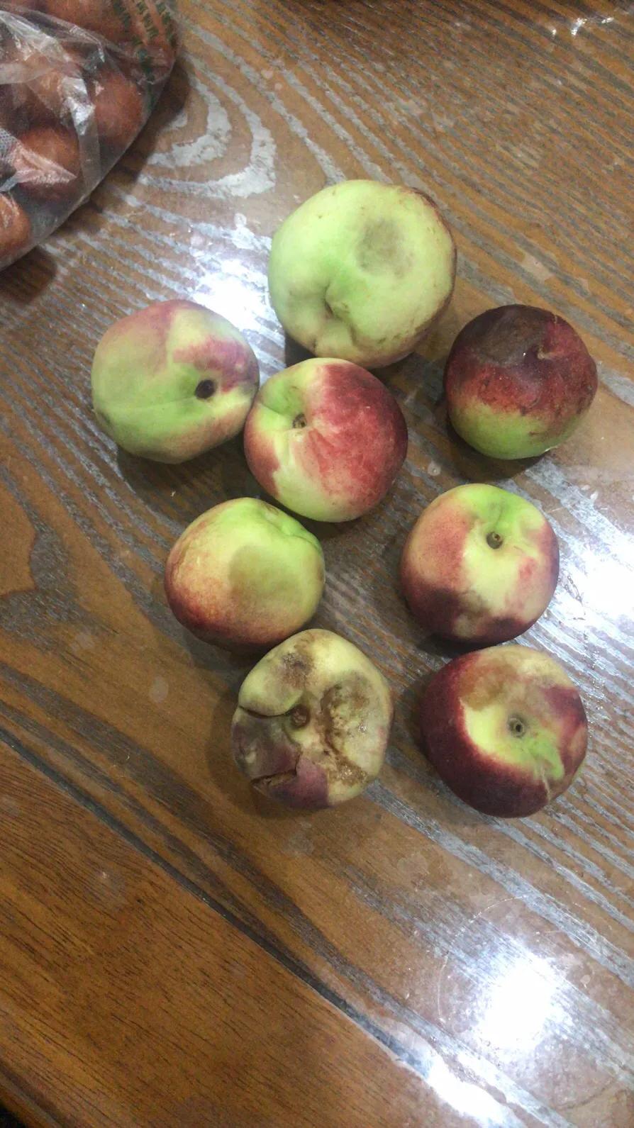 生鲜快递买家拒收后怎么处理,生鲜快递包装破损能否拒收