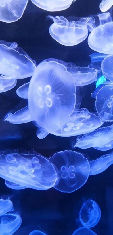 辽宁省14个市抚顺排第几,辽宁抚顺都有哪些区