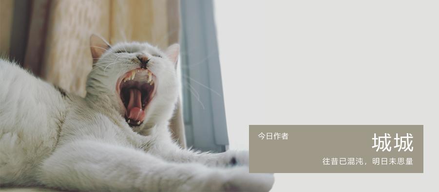 昆明必吃的十大凹糟馆子,盘点昆明最难找的凹糟馆子