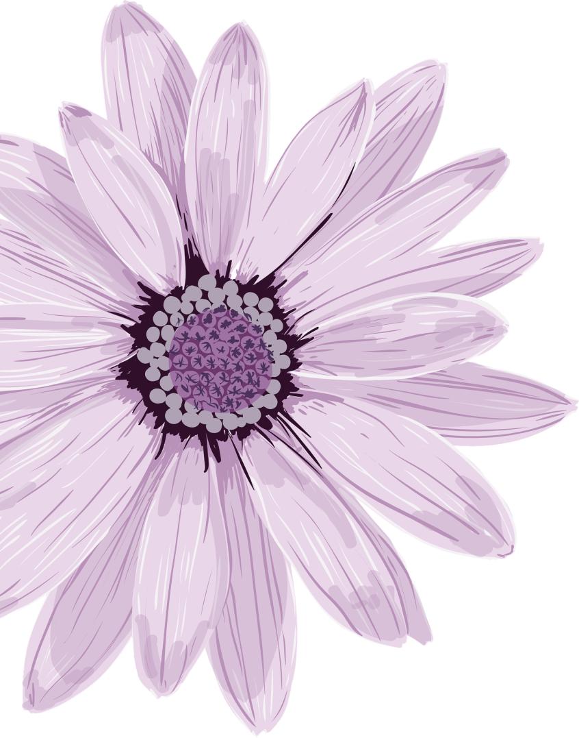 检影验光步骤口诀,检影法是什么