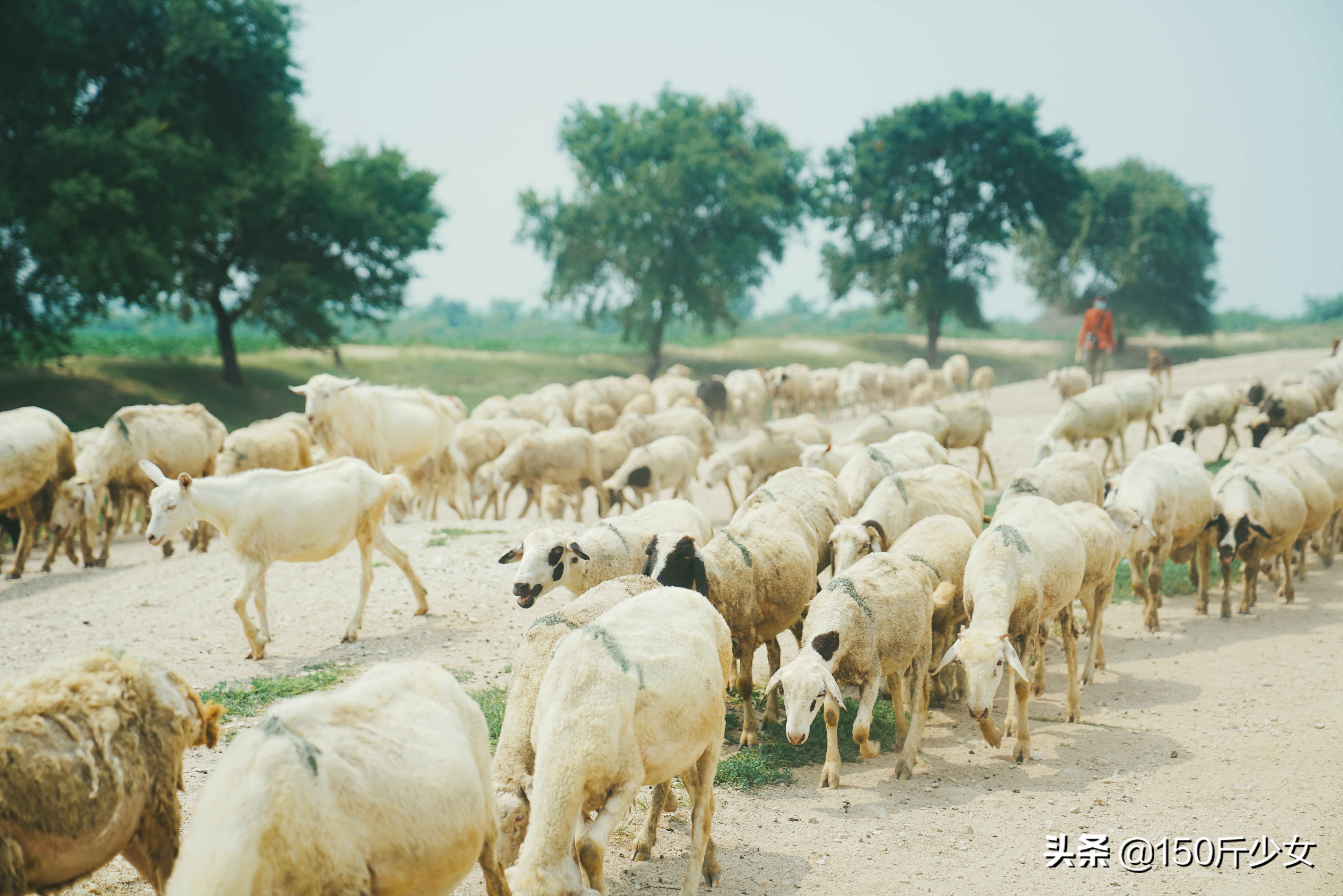 吉林旅游攻略自由行三天两晚住宿,吉林旅游自由行攻略图片大全