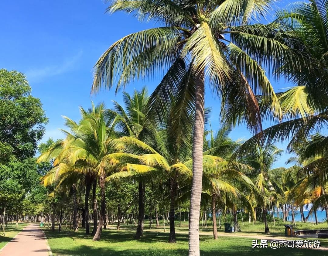 来到海南不看海,海南值得去的地方不是三亚是万宁