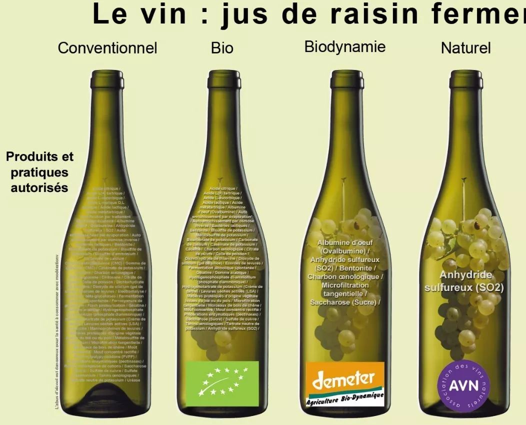 法国留学回国会怎样,法国留学回国就业真实感受