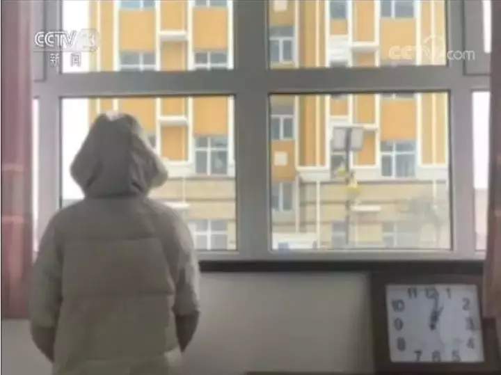 2019年十大刑事案件评析,2019年十大刑事案件点评排名