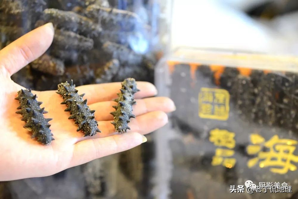 中国海鲜地图,中国海鲜最多地区