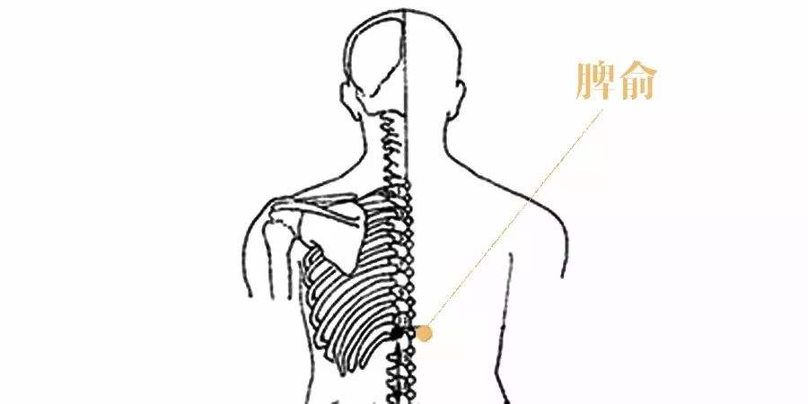 得了溃疡性结肠炎食欲很差怎么办?不要慌张,用艾灸可以试试看