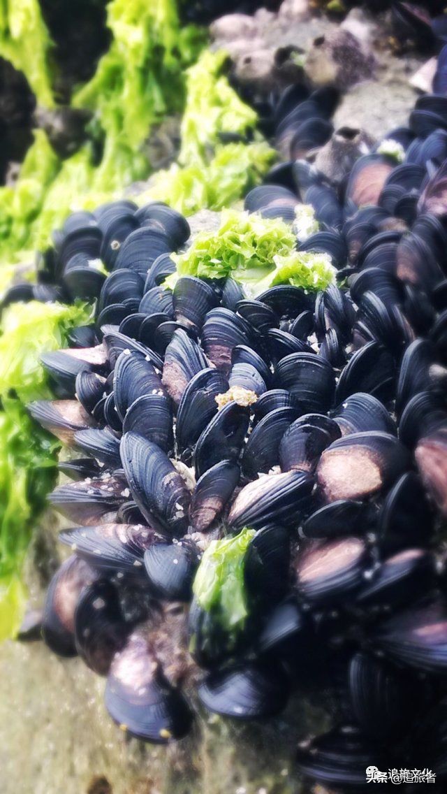 简单趣味沙滩团建,适合海边玩的拓展团建游戏