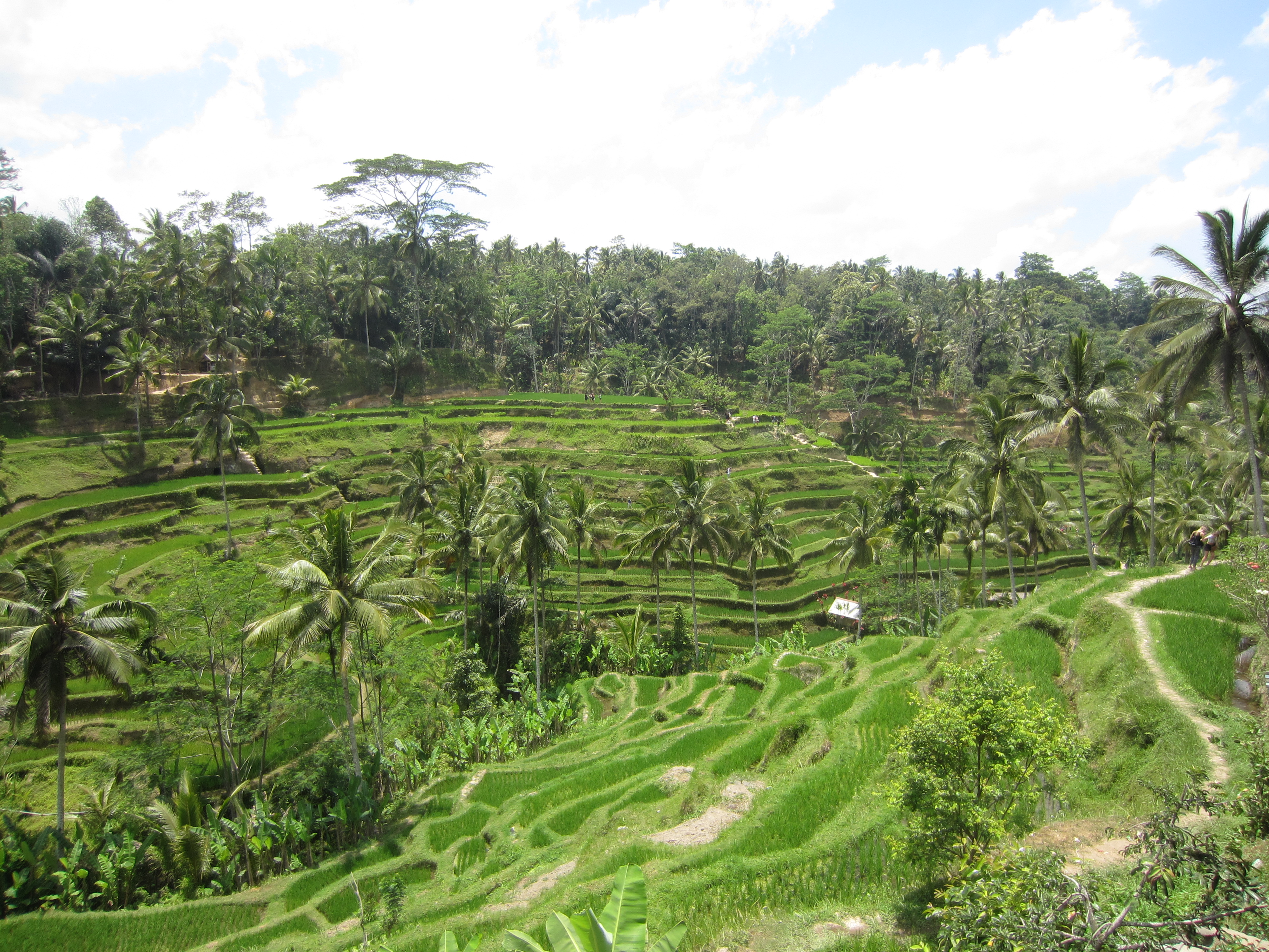 为什么年轻人选择去云南度蜜月,年轻人为什么要去旅游