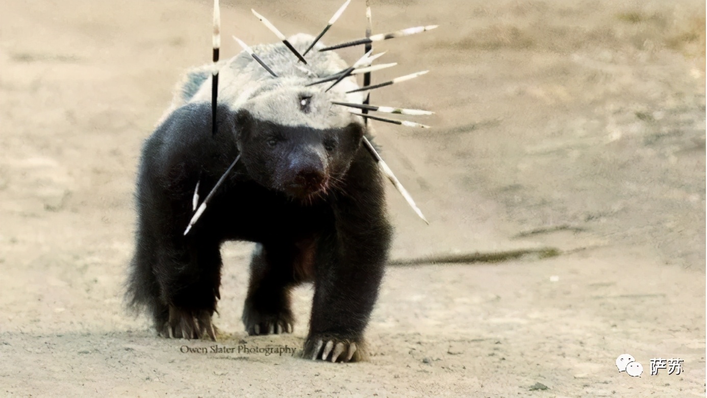 迈克尔杰克逊和特朗普是什么关系,迈克杰克逊和特朗普年轻的时候