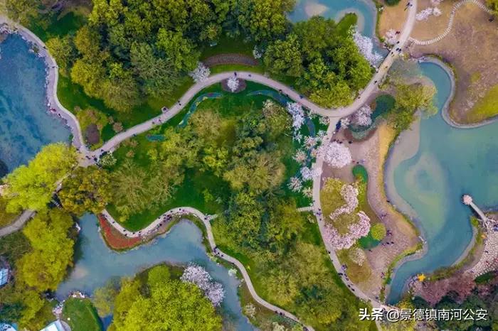 苏轼关于春天10首经典诗词,45首最美诗词送给春天可打印