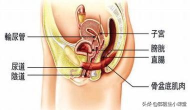 绝经15年，漏尿13年，怎么才能避免尴尬？