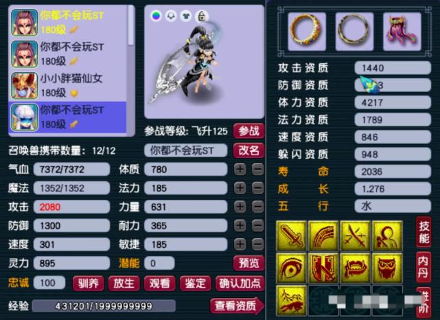 梦幻雪山大火区,梦幻西游雪山打紫禁城