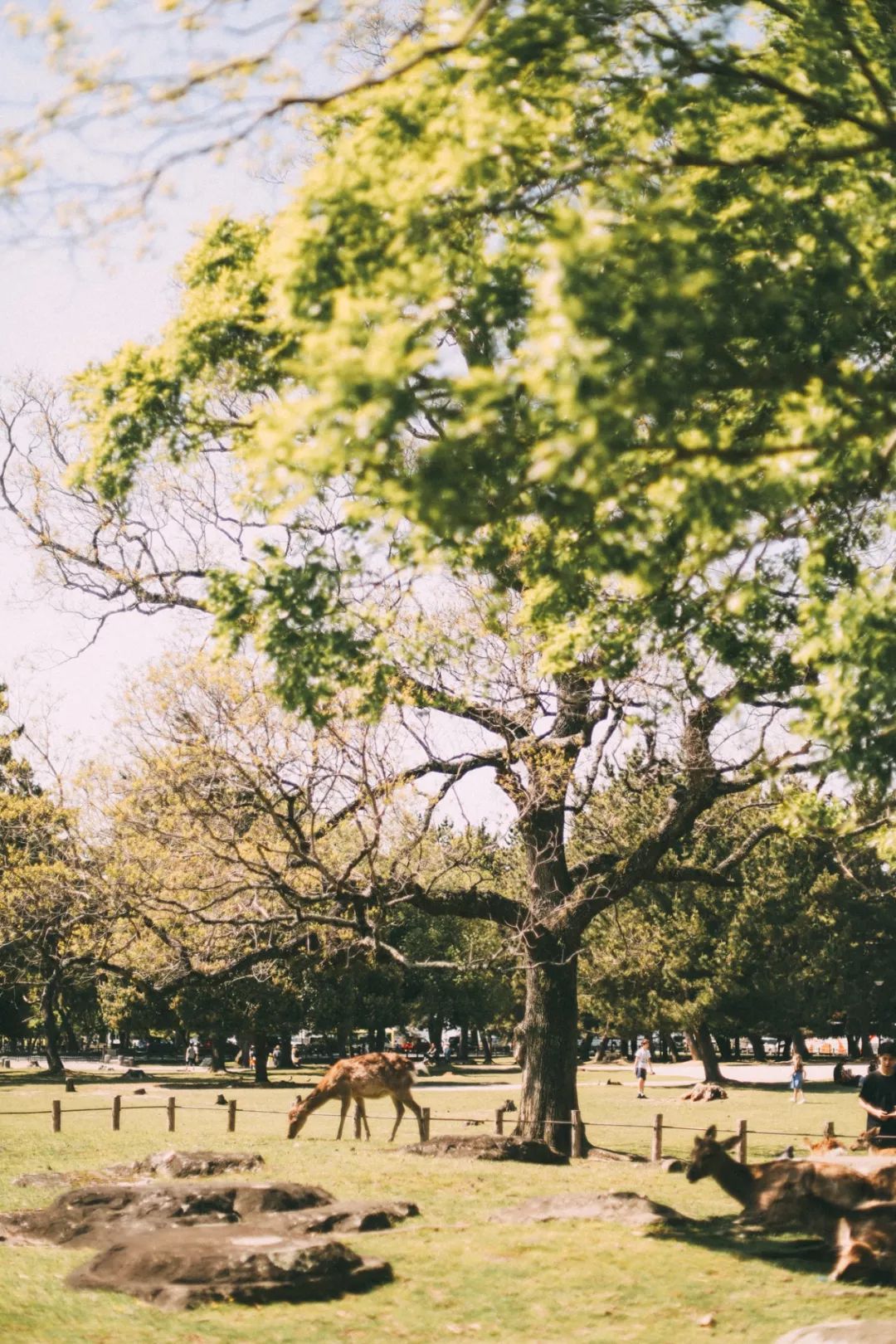 去国外哪里的机票最便宜,从国内到国外最便宜的机票