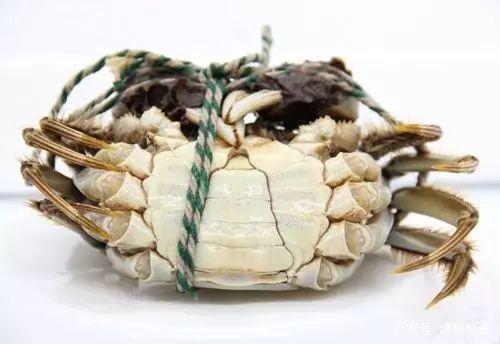 大闸蟹有的论个卖有的论斤卖,大闸蟹按斤称还是按只买划算