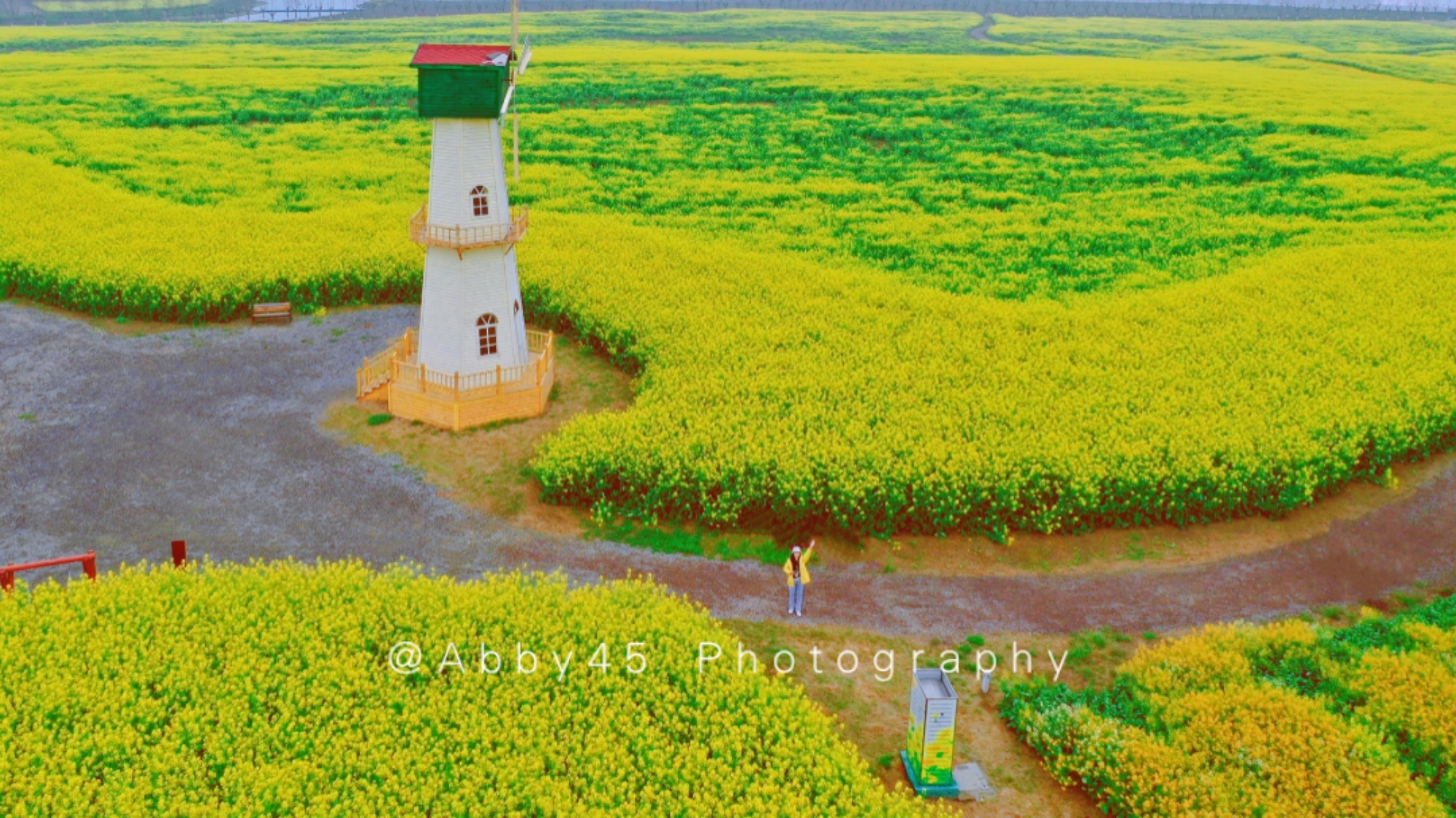 淮安四季花海,五一避开人群小众旅游地