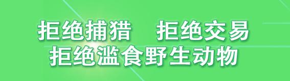 劝业场小学实际教学,劝业场小学视频