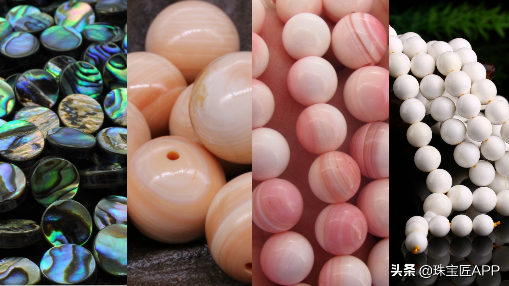 贝壳手工珠宝首饰,贝壳珠宝有哪些