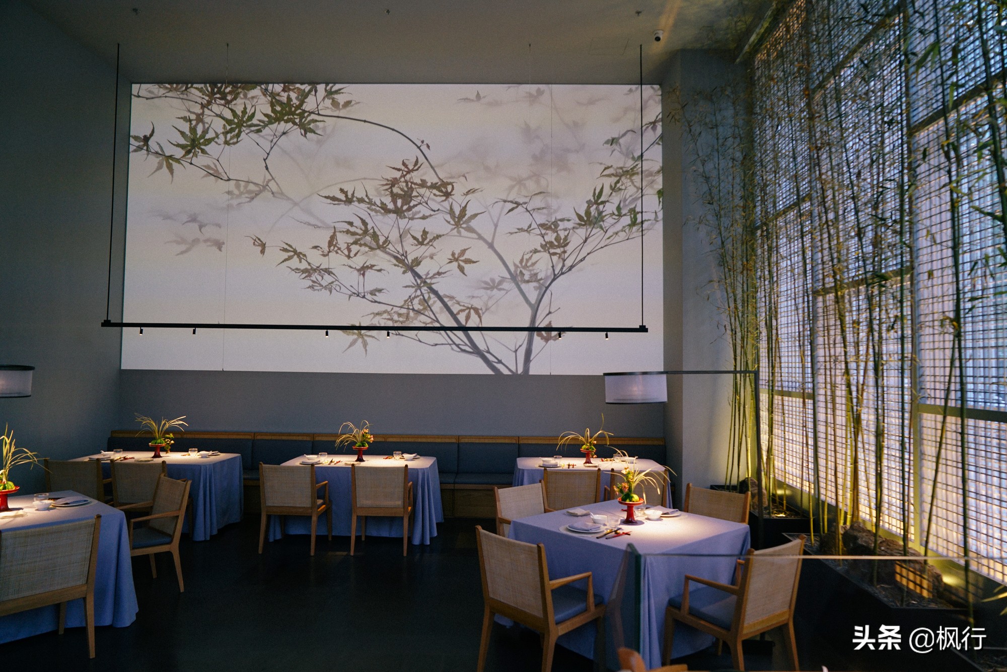 这家北京二环内的粤菜馆，装修获大奖，松板肉、乳鸽、罗氏虾惊艳