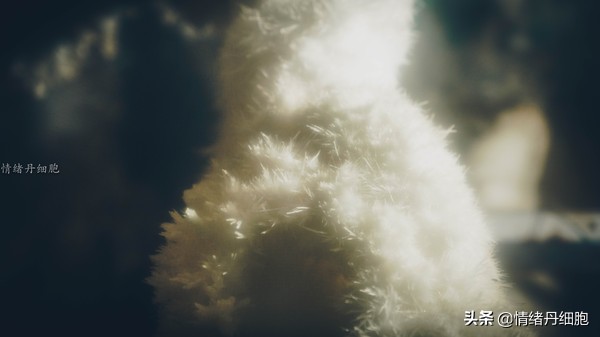 银狐洞风景区旅游路线攻略,游银狐洞