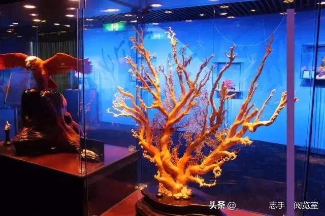 大开眼界100余种珍稀宝玉石合集,中国各省珍稀宝玉石分布地图