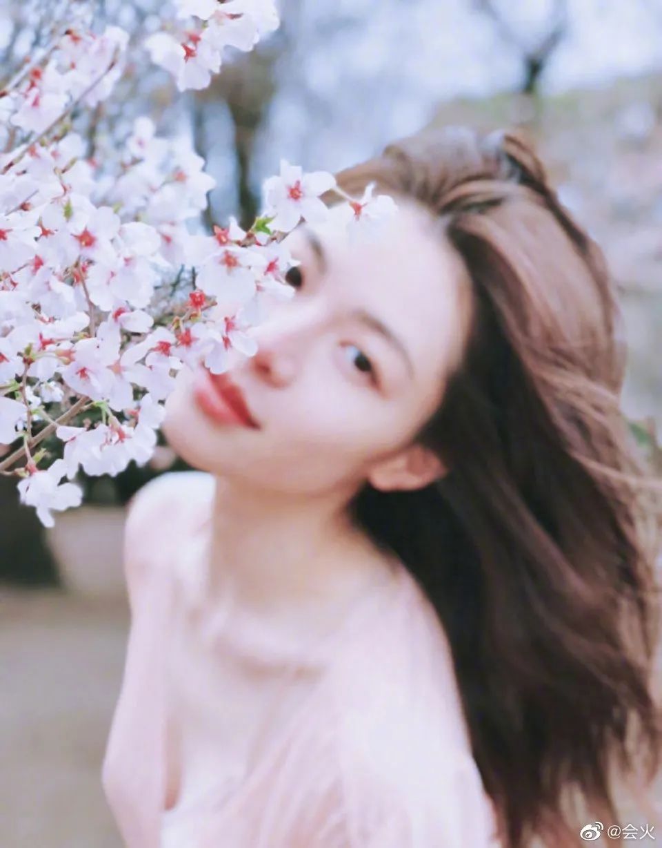 杨颖樱花与精灵妆拼图,刘嘉玲樱花美照