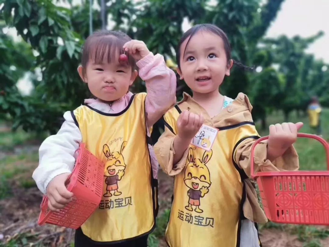 早教很重要，但这些好处你未必都知道