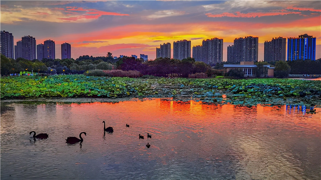 南京塑胶健身步道,南京健身步道