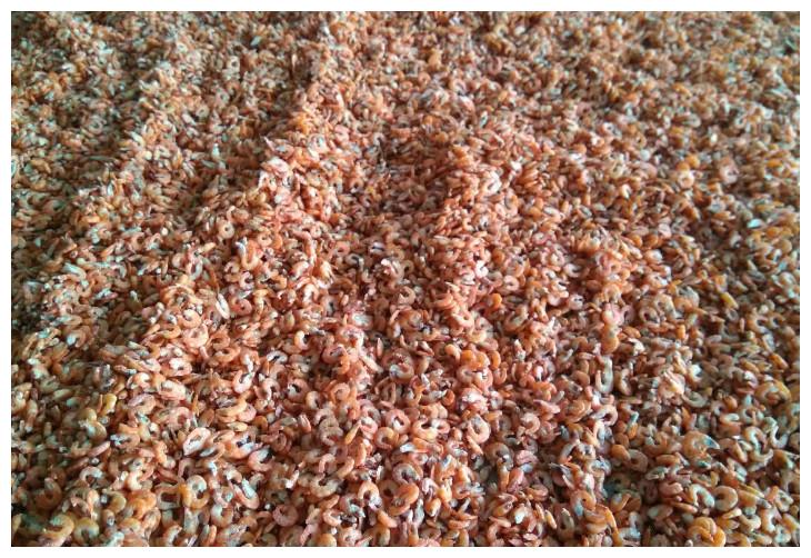 晒虾米，一场成就极鲜之味的狂欢