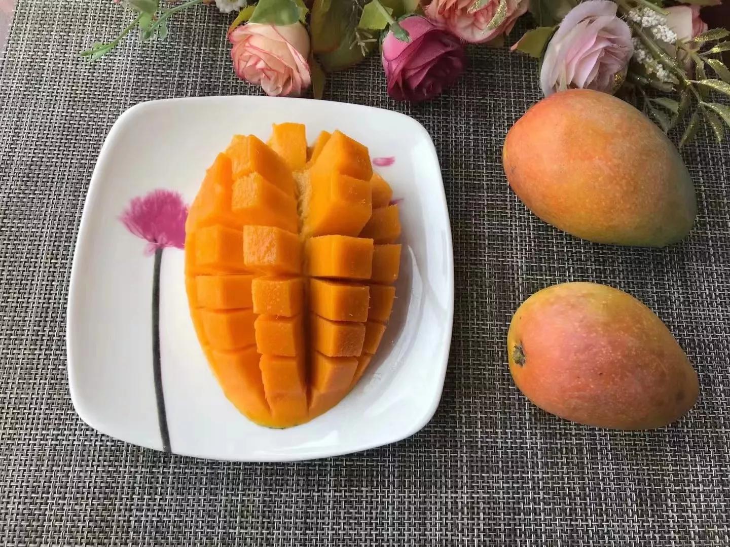 芒果的十大经典吃法,芒果的做法很有教育意义