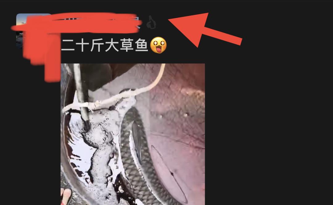 微信最新版本更新后隐藏的功能,微信最新版本有4个功能