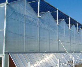 有名气的温室大棚防虫网,沭阳温室大棚防虫网有什么作用