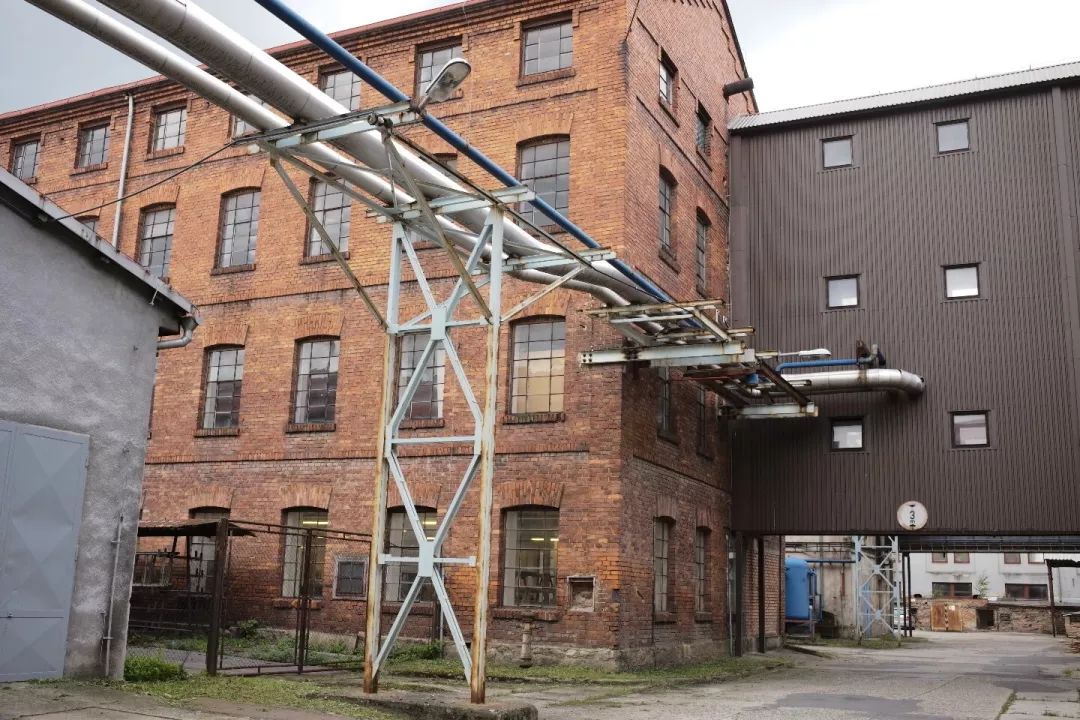 探访TON工厂看经典椅子背后的故事|疯狂24h我们去捷克干了啥？